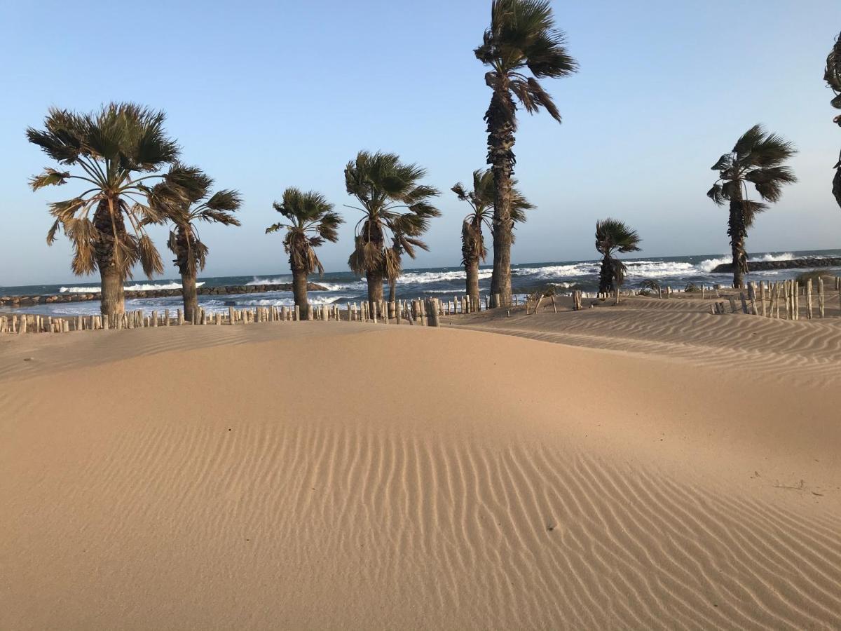Apartment Newly Renovated Aircond-Wifi-Pool-Sea View-150M To Beaches- سانت أي جولف المظهر الخارجي الصورة